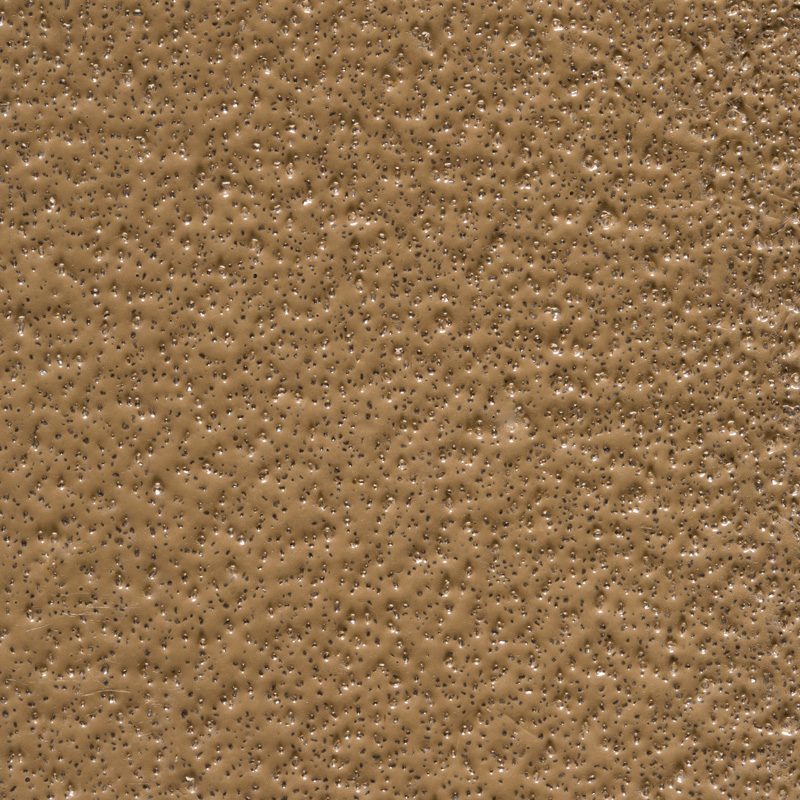 Close-up of a textured brown surface with many small, evenly distributed indentations or bumps.